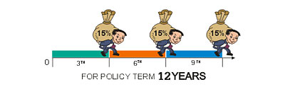 Image for policy term 12 years